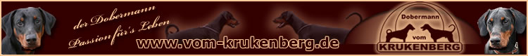 Dobermann vom Krukenberg